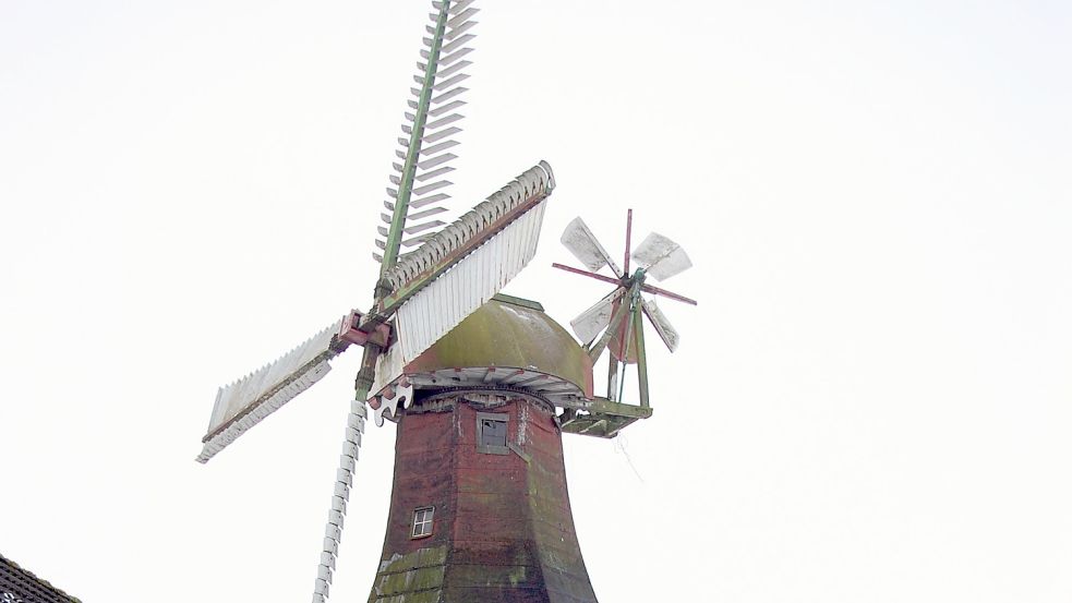 •50 Jahre lang war die Mühle als Wahrzeichen so in Völlenerfehn zu sehen. Bild: Archiv