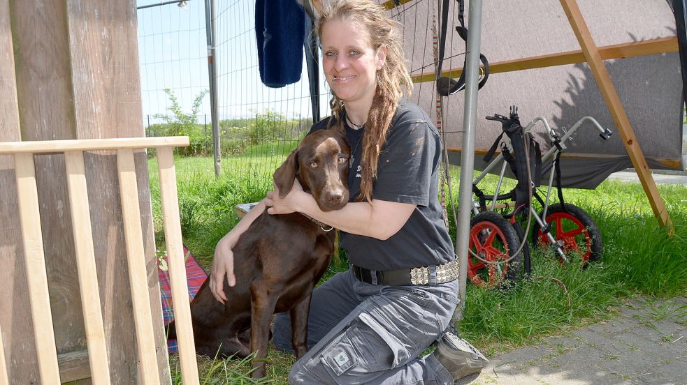 Durch einen Autounfall ist die junge Labradorhündin Freeda, die Tierheimleiterin Franka Thun hier im Arm hat, gelähmt. Dennoch ist Freeda fit und fröhlich, und alle hoffen, dass sie bald ein verständnisvolles, neues Zuhause findet.