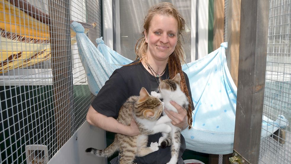 Diese beiden lebhaften Jungtiere, die Franka Thun auf dem Arm hat, sind zwei von rund 60 Katzen, die derzeit im Tierheim in Sedelsberg ein Zuhause auf Zeit gefunden haben.