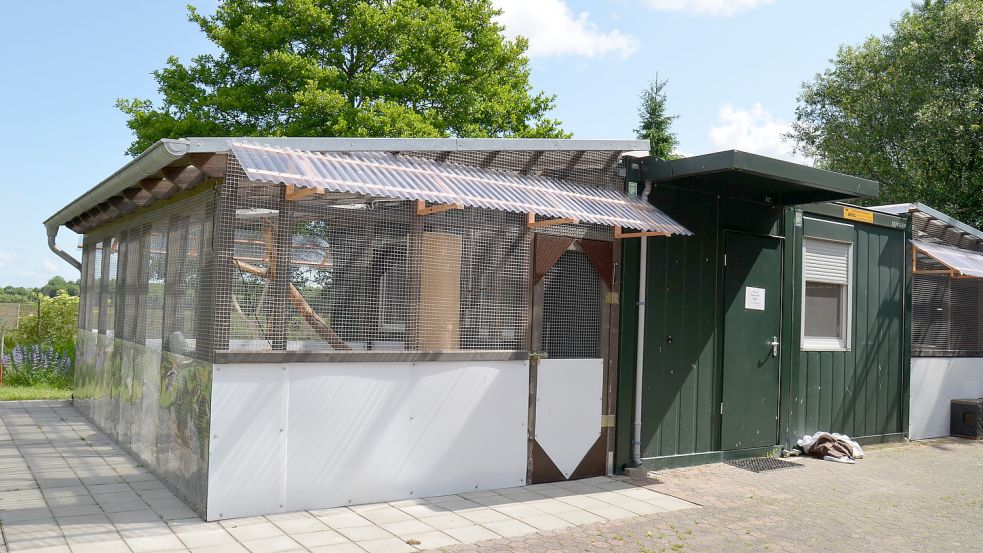 Seit vor drei Jahren das Katzenhaus durch drei Container erweitert wurde, ist es für die vielen Tiere, die dort einen Unterschlupf auf Zeit finden, zumindest nicht mehr so eng.
