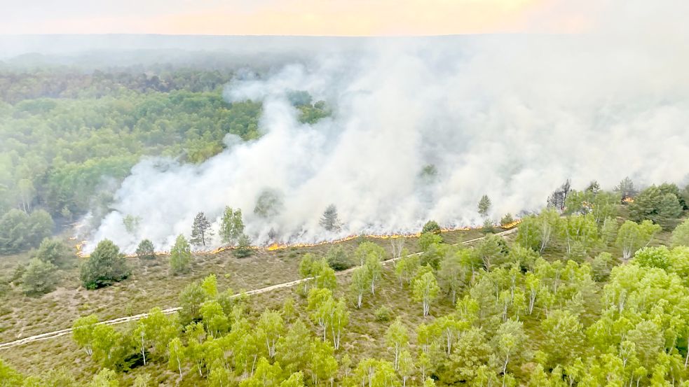 Die Gemeinde Jüterborg südlich von Potsdam kämpft mit einem großen Waldbrand. Foto: dpa/Bundespolizei