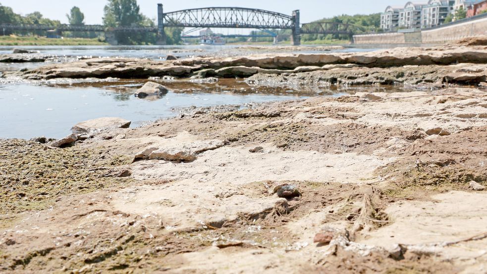 Auch Flüsse wie die Elbe, hier bei Magdeburg, sind von der anhaltenden Trockenheit betroffen. Foto: dpa/Peter Gercke