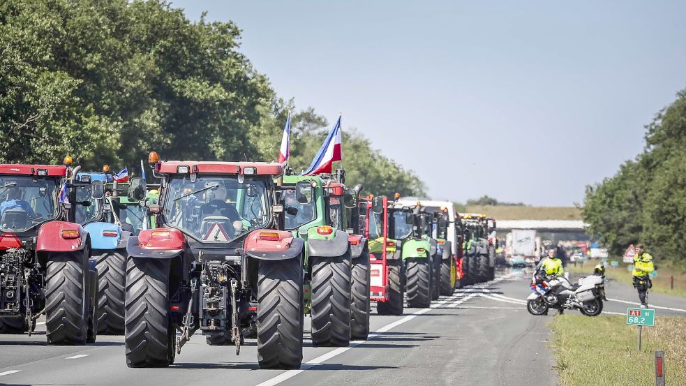 Nach den USA sind die Niederlande der zweitgrößte Exporteur von Agrarprodukten weltweit. Wegen der Stickstoff- und Umweltpolitik der Regierung fürchten tausende Landwirte um ihre Existenz. Foto: dpa/ANP/Bart Maat