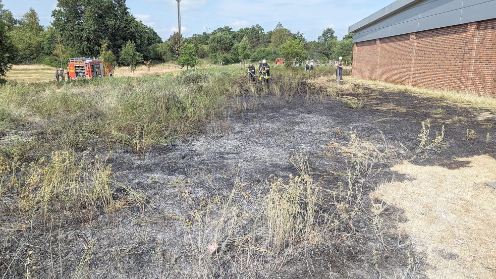 Direkt hinter dem Einkaufszentrum mit den Märkten Lidl, Markant und Rossmann stand die Fläche in Brand. Foto: Feuerwehr/Bruns