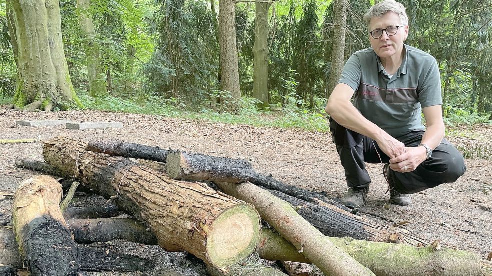 Förster Gerd Dählmann begutachtet die Überreste des Lagerfeuers im Heseler Wald. Foto: Nording