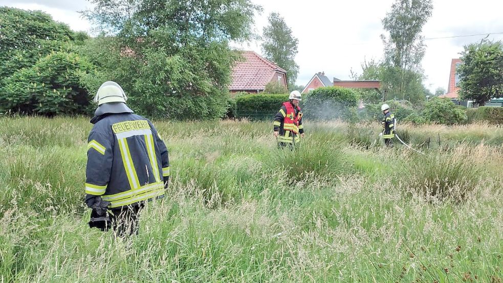 Eine kleine Fläche am Kurzen Weg in Völlenerfehn geriet in Brand. Foto: Feuerwehr/Bruns
