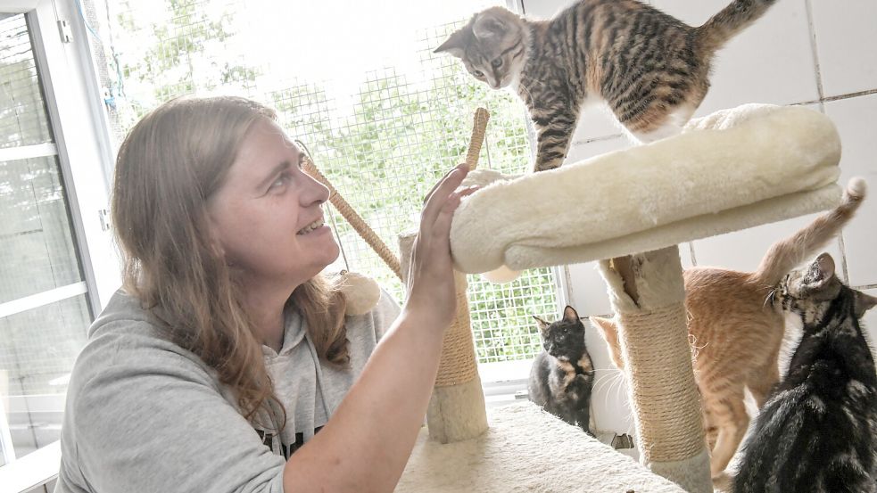 Tierheimmitarbeiterin Silke Heilig bei einer der schönsten Beschäftigungen im Tierheimalltag: mit den Kätzchen spielen.