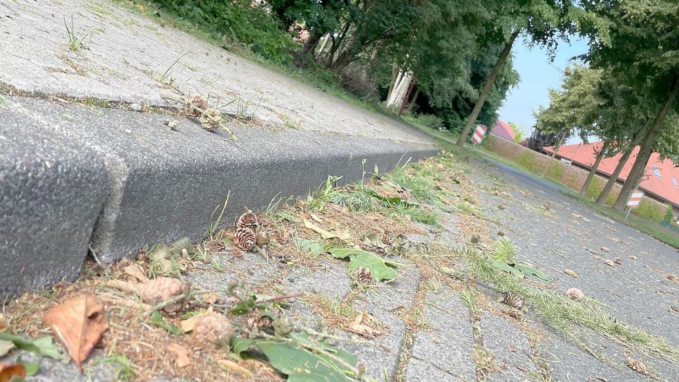 Die Gosse an der „Hochbordanlage“, also dem Bordsteinkante, übernimmt in Rhauderfehn künftig wieder die Gemeinde. Foto: Janßen