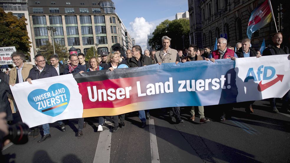 Die AfD polarisiert in Deutschland. Foto: imago images/IPON