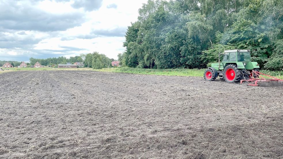 Die Arbeit beginnt jedes Jahr auf neue. Mehrjährige Saaten eignen sich für die örtlichen Gegebenheiten nicht. Foto: Janßen