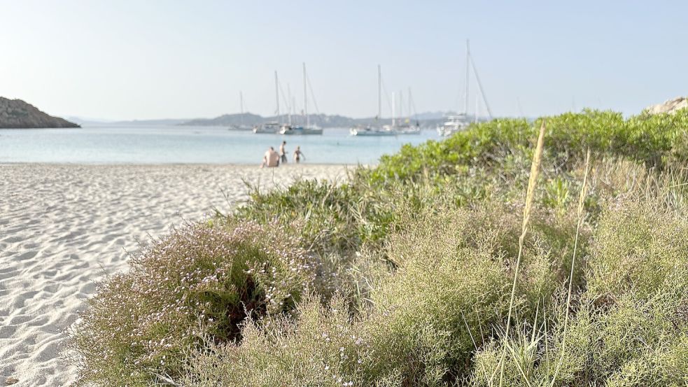 47 Grad auf Sardinien. Da hört auch bei unserer Autorin die Freude am Sommerwetter auf. Foto: Louisa Riepe