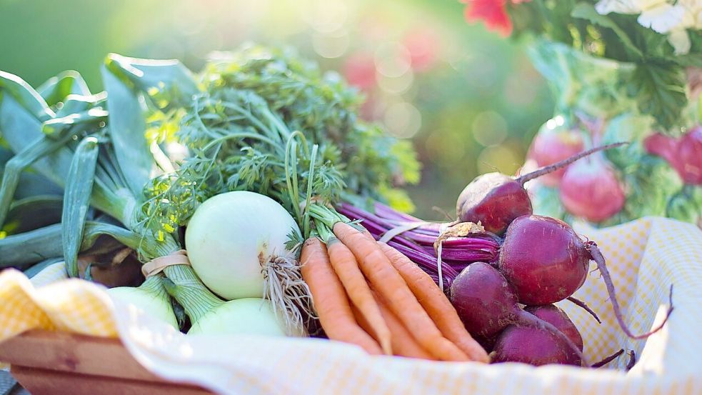 So langsam beginnt die Zeit des Erntens. Nach und nach werden die Sorten reif. Foto: Wellington/Pixabay
