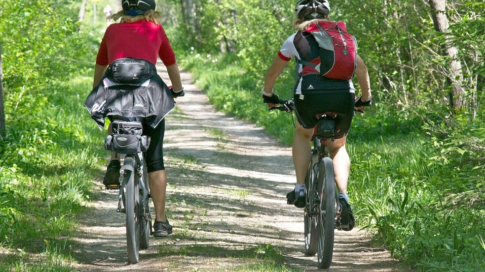 Ob zum Spaß durch die Natur oder in den Ort zum Einkaufen: jeder Kilometer mit dem Rad zählt beim Stadtradeln. Foto: Antranias/Pixabay