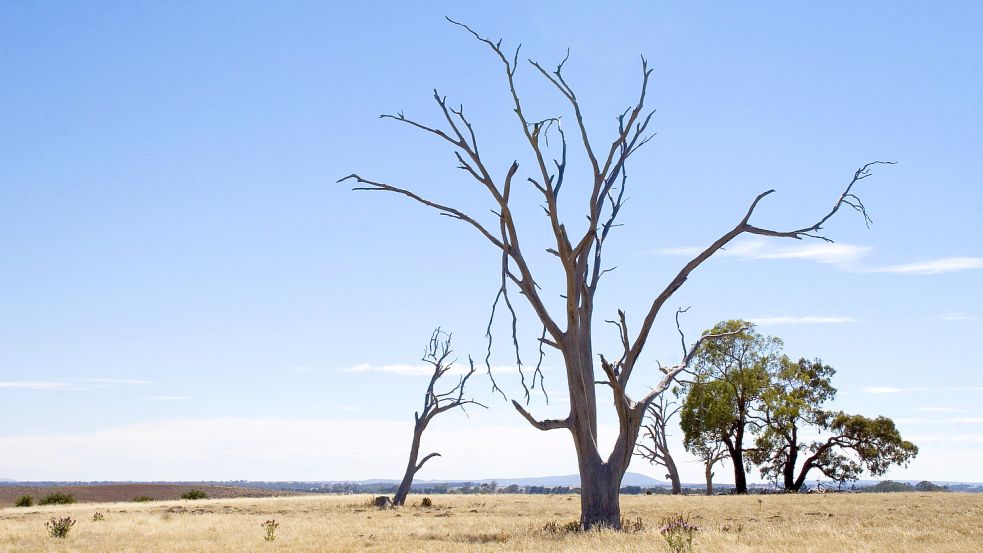 Das Klimaphänomen El Niño lässt in Australien die Temperaturen ansteigen und führt traditionell zu Hitzewellen und extremer Trockenheit. Foto: imago images/JodieJohnson/Design Pics