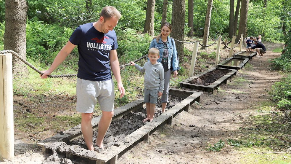 Viel Spaß haben die Besucher wieder im eröffneten Barfußpark in Harkebrügge. Foto: Passmann