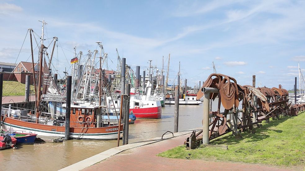 In Ditzum werden Nordsee und Fischerei gefeiert beim Hafenfest, das dort dieses Wochenende stattfindet. Freunde des Maritimen kommen voll auf ihre Kosten. Foto: Ortgies