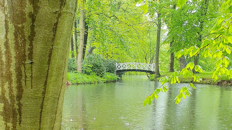 Der Park der Evenburg ist bei Spaziergängern beliebt. Foto: Landkreis Leer/Archiv