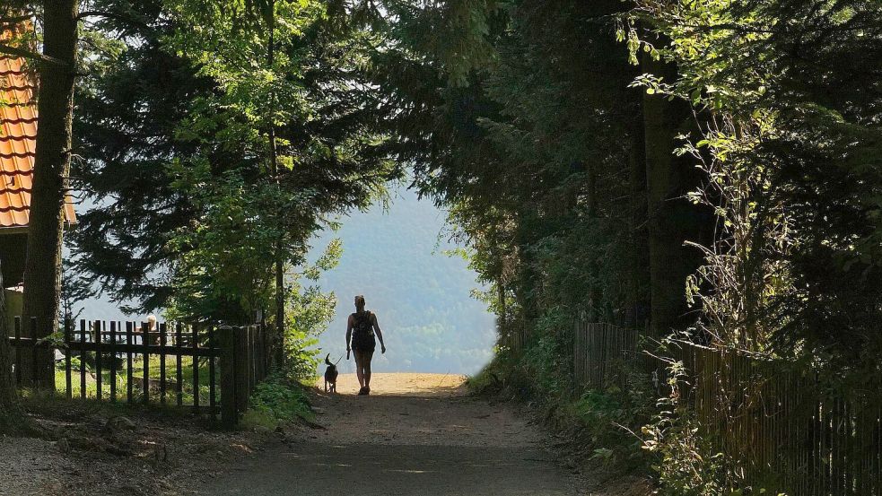 Symbolbild: Eine Person macht mit einem Hund an der Leine einen Spaziergang. Während der Brut- und Setzzeit sind Tiere in der freien Landschaft an der Leine zu halten. Bild von Sabine auf Pixabay