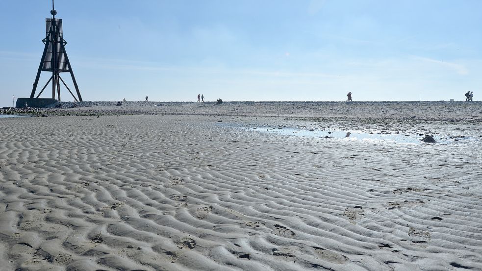 Cuxhaven lädt zu Wattwanderungen an der Nordsee ein. Foto: dpa/Carmen Jaspersen