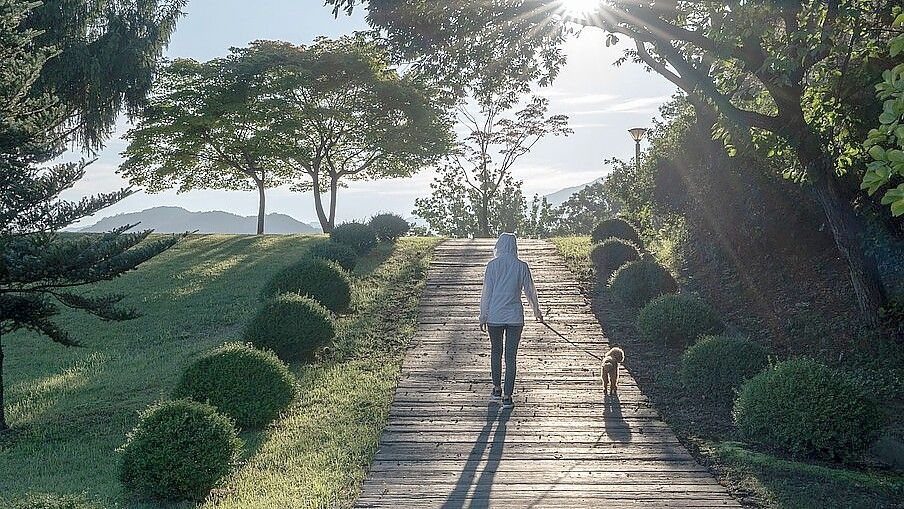 Eine Spaziergängerin auf einem befestigten Weg in der Natur. Wo dürfen sich Erholungssuchende in der freien Landschaft aufhalten, wo sind die Grenzen. Foto: pixabay