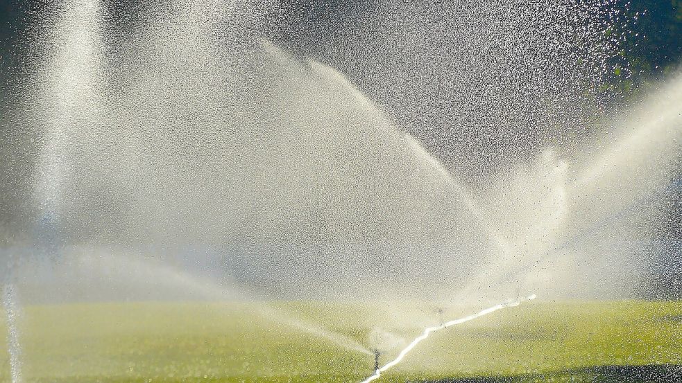 Rasensprenger brauchen viel Wasser, warnt die Organisation VSR-Gewässerschutz. Foto: Pixabay/Daniel Borker