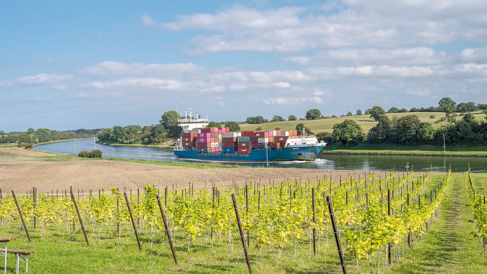 Ein Containerschiff im Nord-Ostsee-Kanal auf dem Weg nach Brunsbüttel, vorbei an einem neu angelegten Weinberg. Foto: Imago Images / penofoto