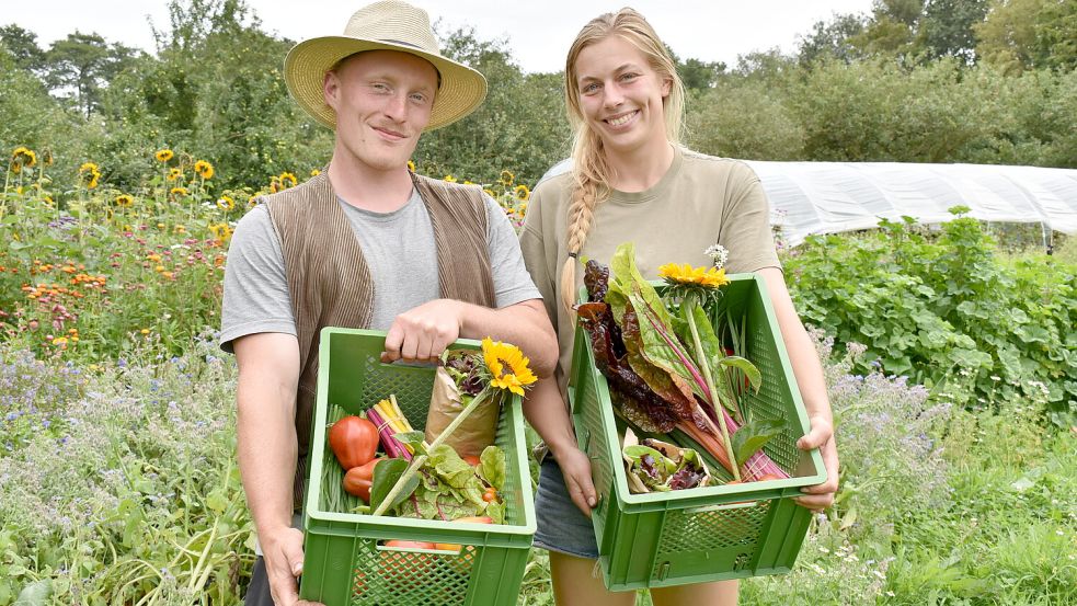 Lukas Rummel und seine Lebensgefährtin Johanna Brauns stehen auf ihrem Feld und zeigen die Gemüsekisten, die von den Mitgliedern der Solidarischen Landwirtschaft einmal pro Woche abgeholt werden. Fotos: Zein
