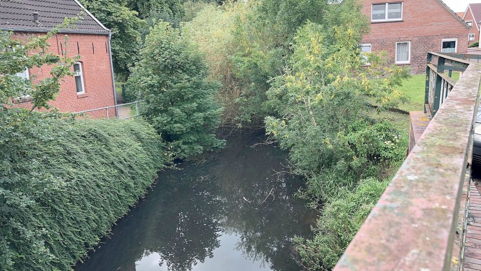 Das Tief am Sielhus soll Pflege bekommen. Foto: Vogt