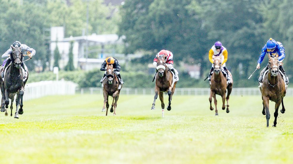 Das Pferd war früher im Rennsport eingesetzt. Symbolfoto: Heimken/dpa