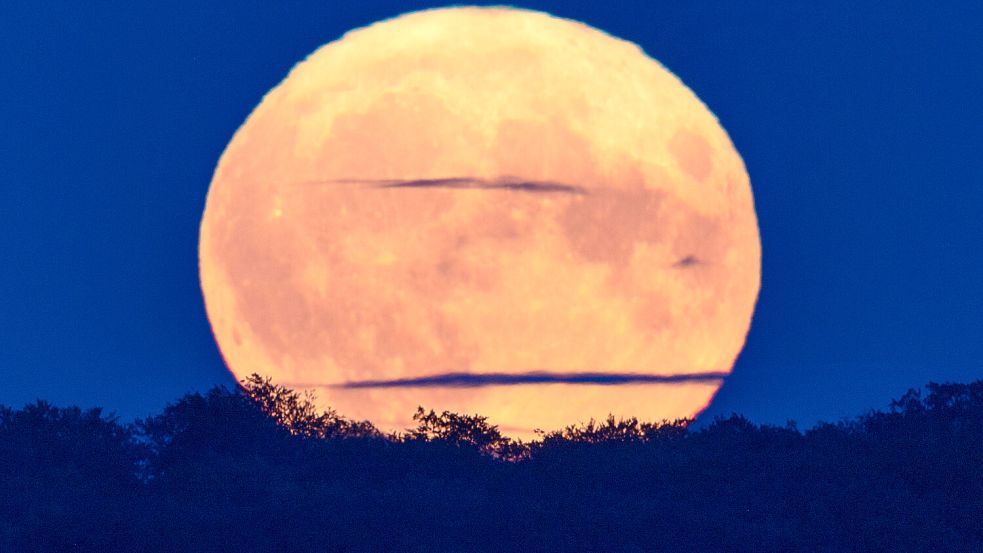 Blue Moon 2023: Nach einem großen Vollmond zum Start in den August zeigt sich der Erdtrabant zum Ende des Monats erneut in seiner vollen Pracht. Foto: dpa/Jens Büttner