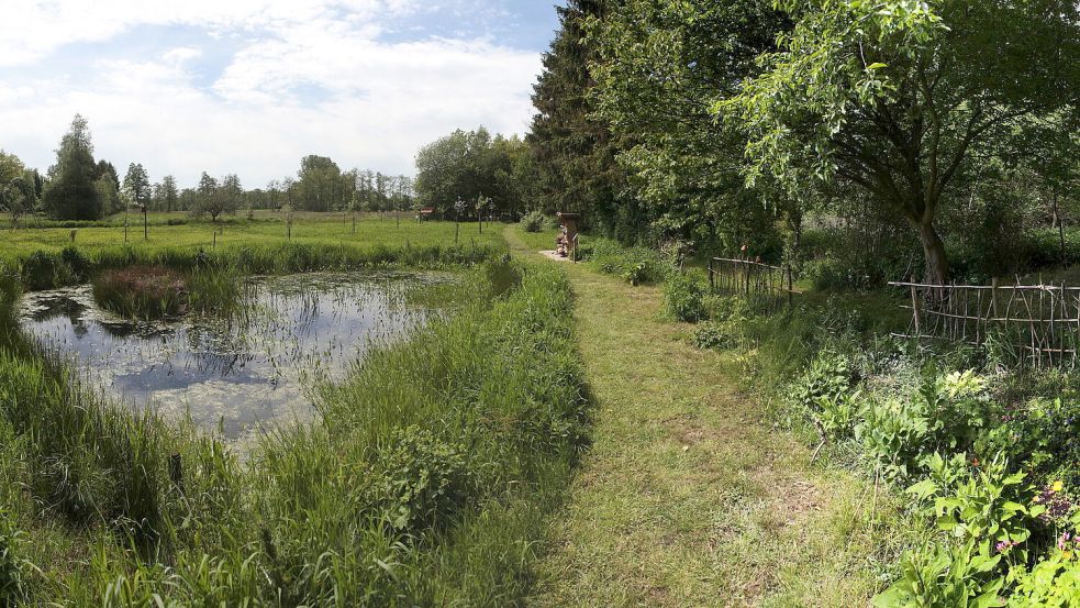 Ein Platz zum Wohlfühlen: Am Ortsrand von Burlage ist „Befis Naturgarten“ entstanden. Foto: Cordsen/Archiv