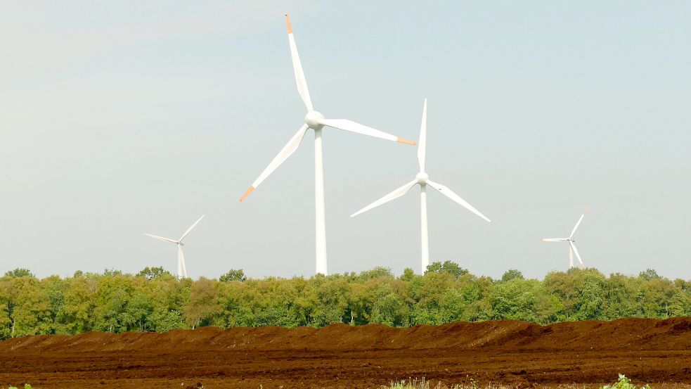 In Klostermoor gibt es bereits seit 1999 einen Windpark. Dort sollen eventuell noch mehr Windkraftanlagen hinkommen. Foto: Wieking