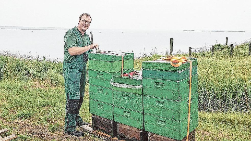 Damit seine Bienen viel Nektar aus Raps, Luzerne, Akelei & Co. saugen, ist Peter Spieker bereit, weite Wege auf sich zu nehmen. Foto: privat
