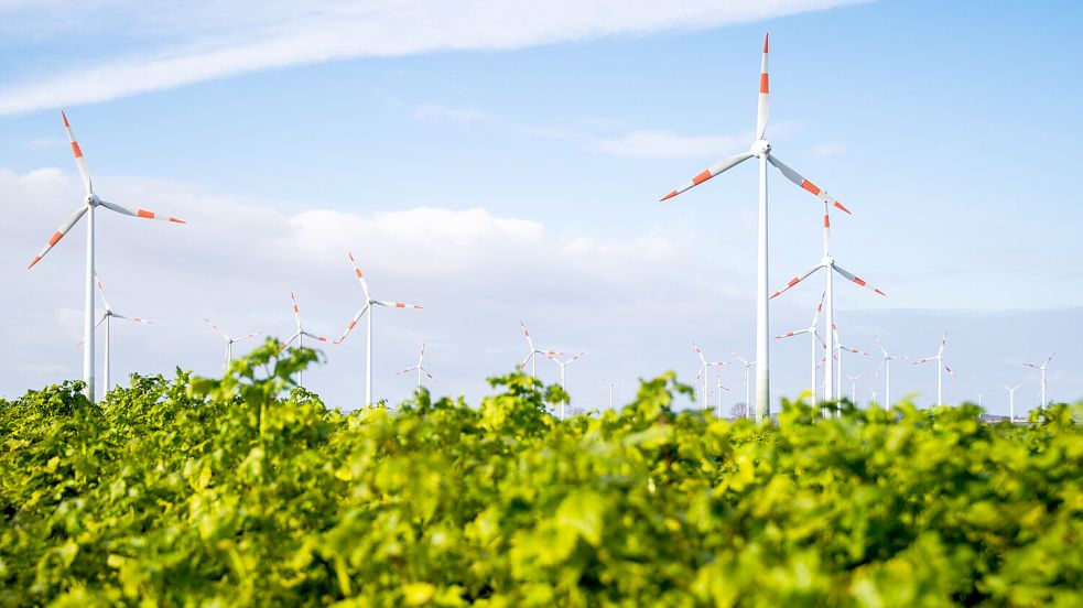 Enercon-Windräder finden sich weltweit. Seit 1984 wurden 60 Gigawatt an Leistung installiert. Foto: Stratenschulte/DPA