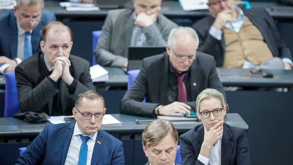 Die AfD-Fraktion im Bundestag. Foto: dpa/Kay Nietfeld