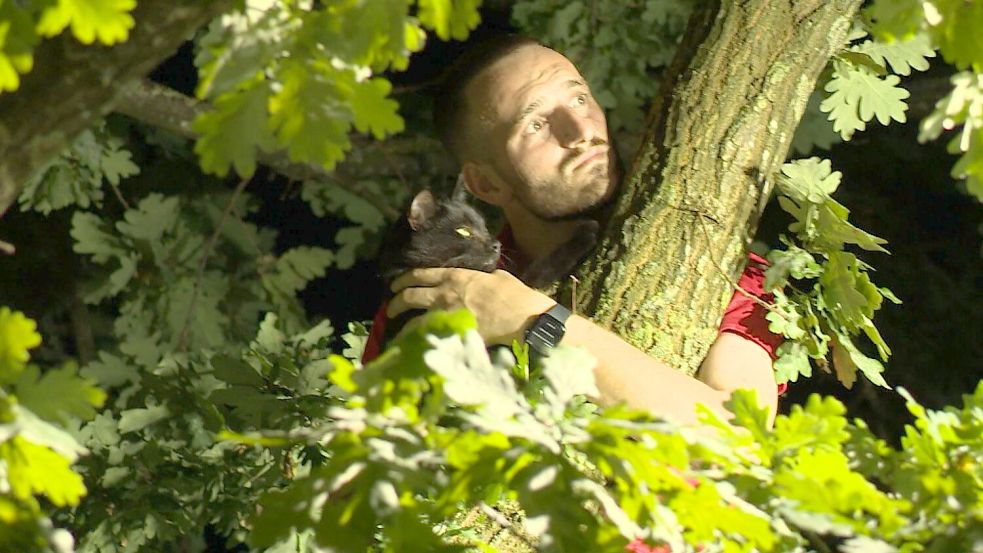 Richtig glücklich sieht der Tierliebhaber in dieser Situation nicht aus: Alexander Rautenhaus und sein Kater Sid hoch oben im Baum. Foto: Nonstopnews/Gerrit Schröder