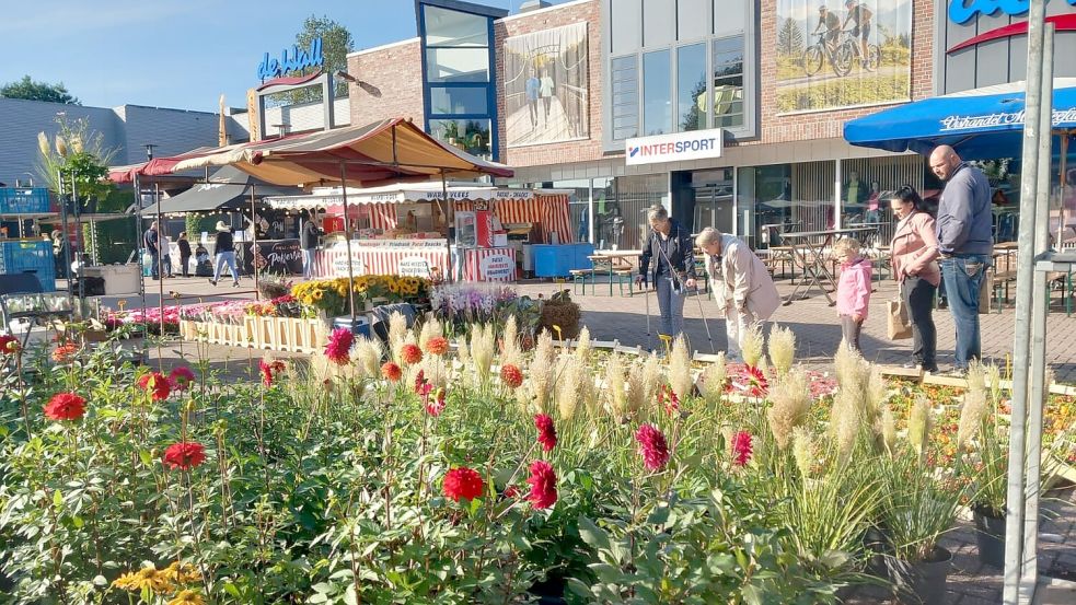 Marktbesucher konnten fast wie in Holland shoppen.