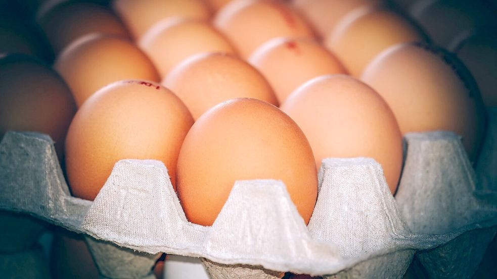 Nachdem in und um Twist mehrere Eier geworfen worden sind, ermittelt nun die Polizei. Symbolfoto: Pixabay