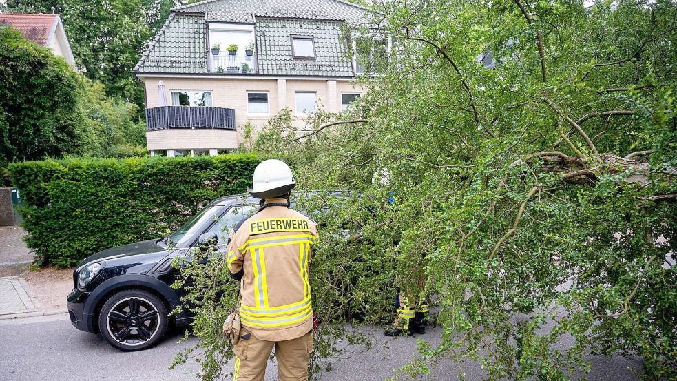 Welche Versicherung zahlt bei Sturmschäden am Haus? Foto: Daniel Bockwoldt/dpa
