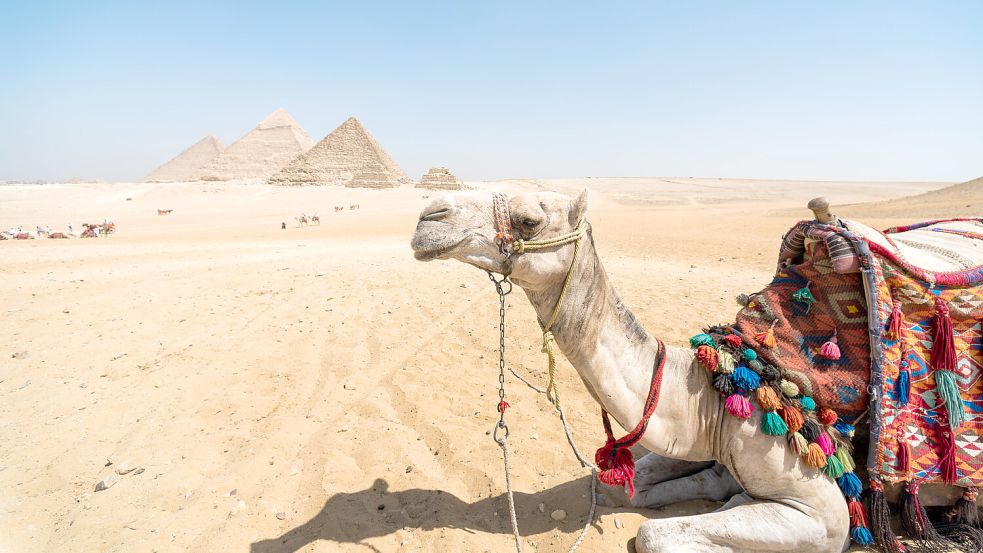 Ägypten mit seinen Pyramiden ist ein wahrer Touristenmagnet. Doch das afrikanische Land grenzt an den Gazastreifen. Foto: IMAGO IMAGES/Zoonar