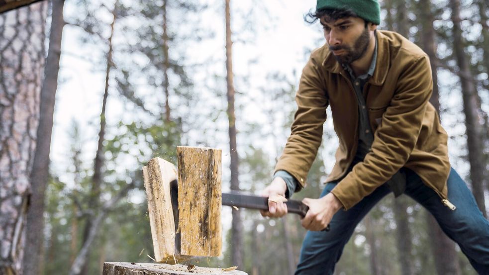 Wer sich Holz direkt vom Förster aus dem Wald holt und selbst kleinhackt, kann richtig viel Geld sparen. Foto: www.imago-images.de