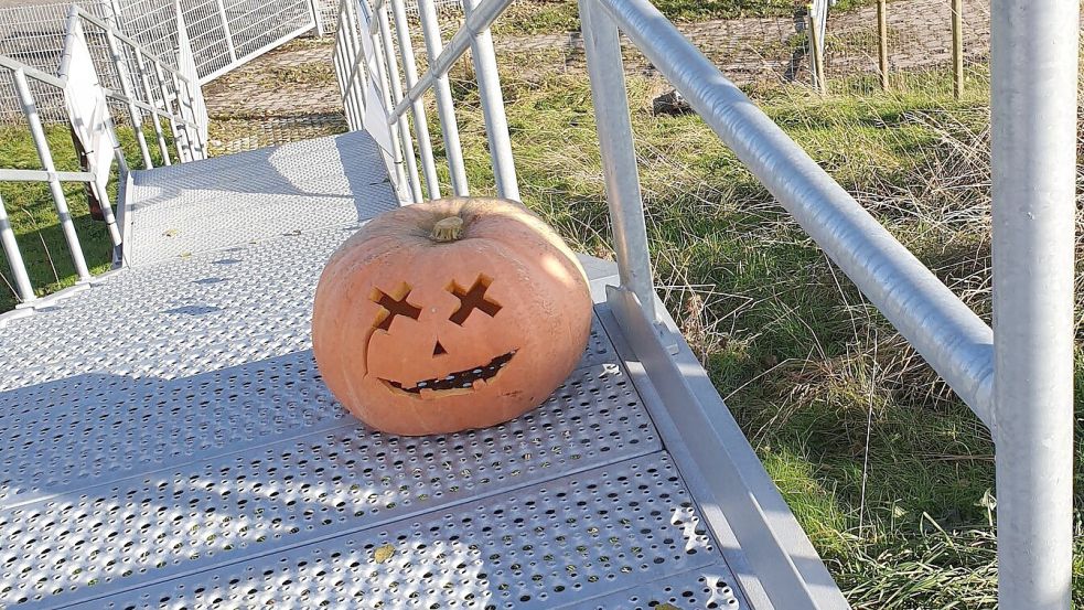 Auf der neuen Aussichtsplattform bei der Baustelle der Friesenbrücke bei Hilkenborg hatte jemand diesen Halloween-Kürbis hingestellt. Nach Angaben einer Anwohnerin, die sich über die nette Idee gefreut hatte, ist der Kürbis mittlerweile kaputtgetreten worden. Foto: Privat