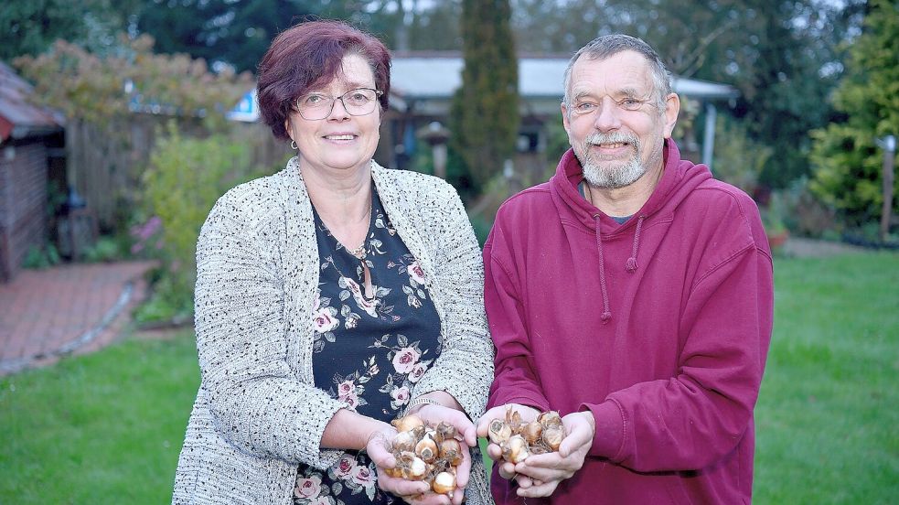 Petra und Jan-Hendrik Baptist haben die Spende der Narzissenzwiebeln aus einem Betrieb in den Niederlanden vermittelt. Foto: Stromann