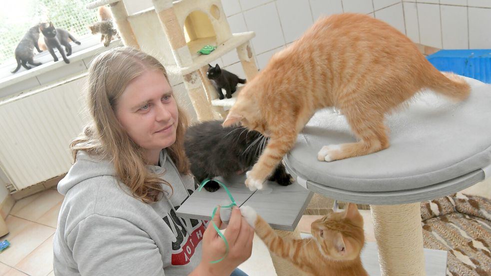 Silke Heilig zählt zu den Mitarbeitern, die im Tierheim in Stapelmoor für die Versorgung und Betreuung der Hunde, Katzen und anderen Tieren zuständig sind. Foto: Ortgies/Archiv