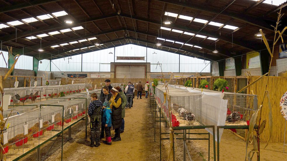 Am Sonnabend war die Ausstellung, die in der Reithalle am Umländerwiek stattfindet, schon gut besucht. Foto: Lohmann