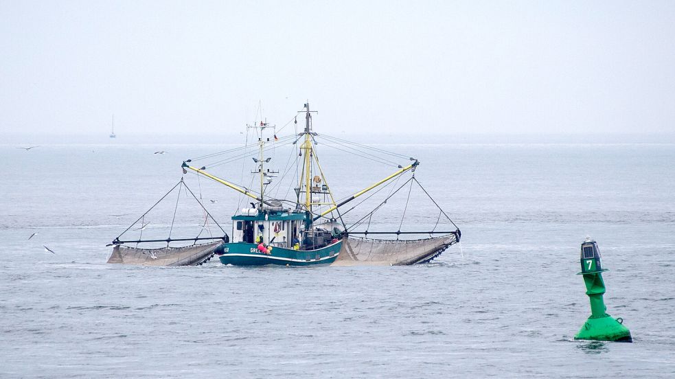 Ein Kutter auf Fangfahrt in der Nordsee. Foto: Daniel Bockwoldt/dpa