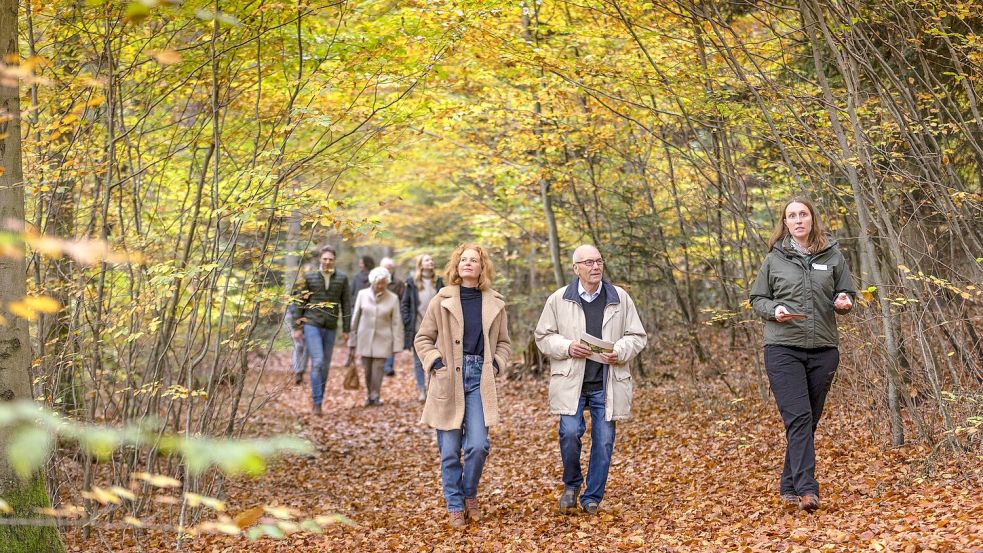 Bei einer Waldführung im FriedWald Cloppenburg erfahren Interessierte alles Wissenswerte zur Bestattung in der Natur und erleben die Schönheiten des Waldes. Fotos: FriedWald GmbH