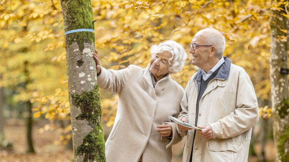 Bereits zu Lebzeiten kann im FriedWald Cloppenburg der Baum für die letzte Ruhe ausgewählt werden.