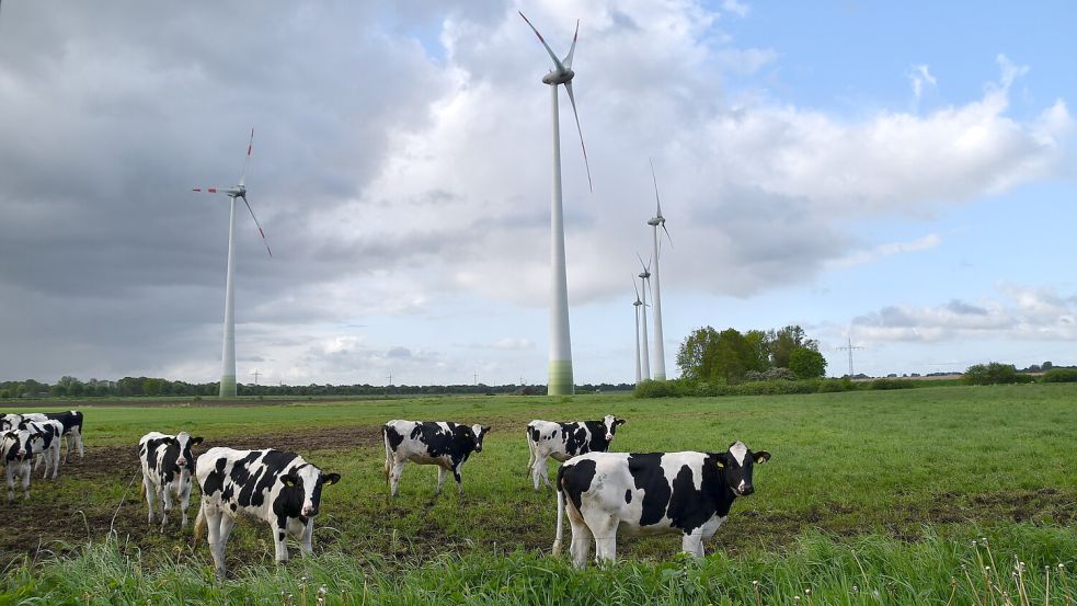Im Steenfelder Hammrich gibt es einen Windpark (Foto). In der Gemeinde Westoverledingen sollen noch weitere Fläche ausgewiesen werden, auf denen Windkraftanlagen aufgestellt werden können. Foto: Ammermann