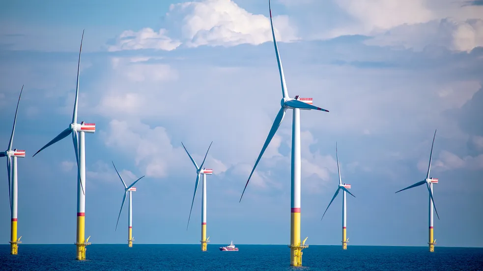 Windkraft auf See. Eine kuriose australische Verschwörungstheorie macht die Windräder für den Tod von Walen verantwortlich. Foto: dpa/Jens Büttner